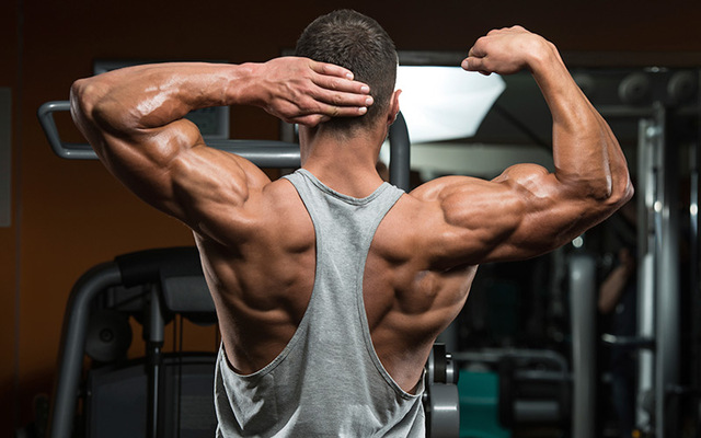 muscle-building-tip Muscle Building