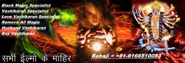 Love Marriage Specialist Babaji in Delhi +91-91665 Picture Box