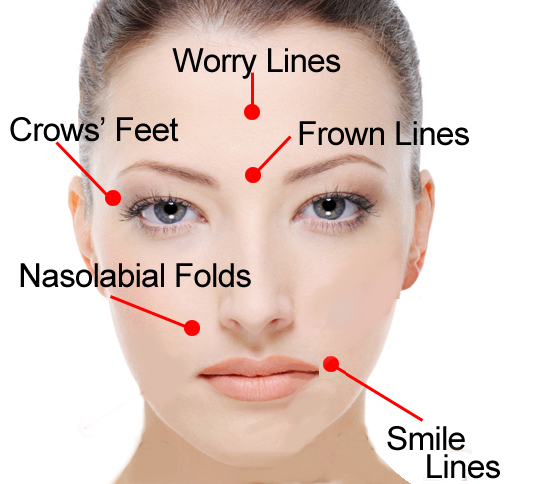 facial-muscles-and-wrinkles Image Revive