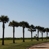 Galveston RV parks - Stella Mare RV Resort
