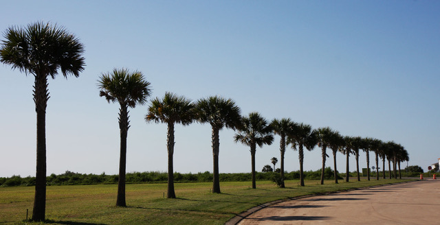 Galveston RV parks Stella Mare RV Resort