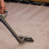 Geelong Carpet Cleaning - Picture Box