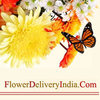 Flowerdeliveryindia s - Deliver your heartfelt wish...