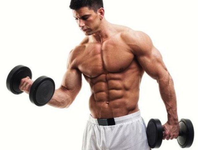 muscle-building Picture Box