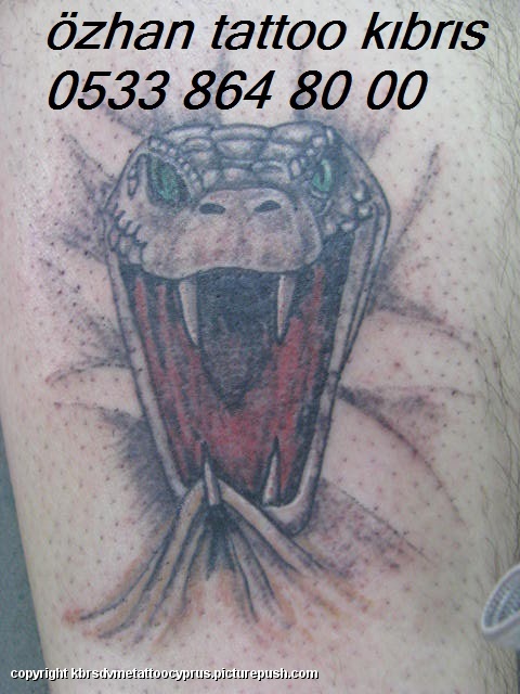 30855 1459199850875 344501 n 4, cyprus tattoo,tattoo cyprus,kibris dovme,nicosia tattoo,kibris,ozhan tattoo