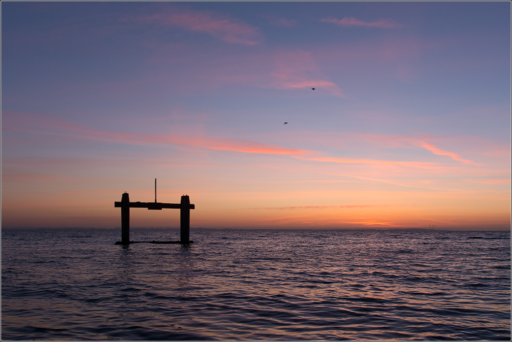  DSC2933 Reward for early wake-up1024 - 