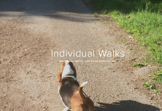 dog walkers mississauga Waddles & Wags Pet Services