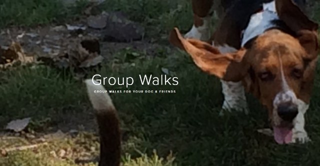 dog walking mississauga Waddles & Wags Pet Services