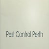 Pest control company - Picture Box