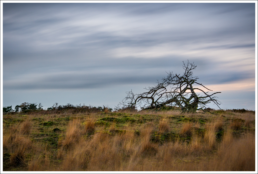  DSC5063 The Fallen - 