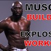 Explosive Muscle Reviews- I... - How to enhance testosterone...