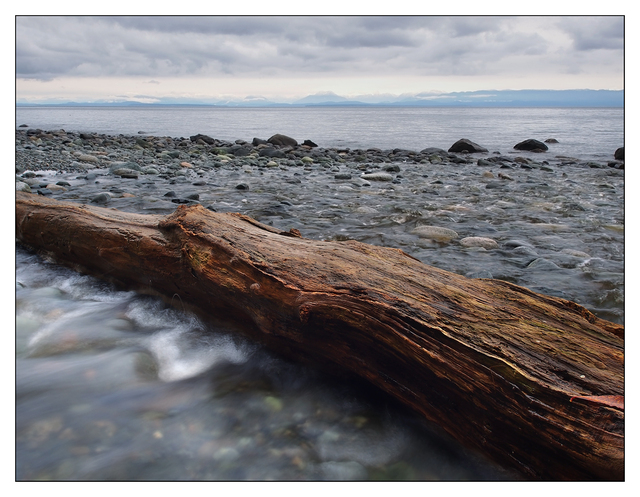 Seal Bay 2016 02 Landscapes