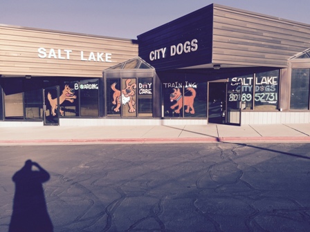 dog training salt lake city Ty the Dog Guy