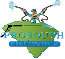 Driveway Pressure Washer ProSouth Pressure Washing