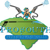 Fleet Washing - ProSouth Pressure Washing