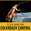 Pest Control Manchester - Youngs Pest Control