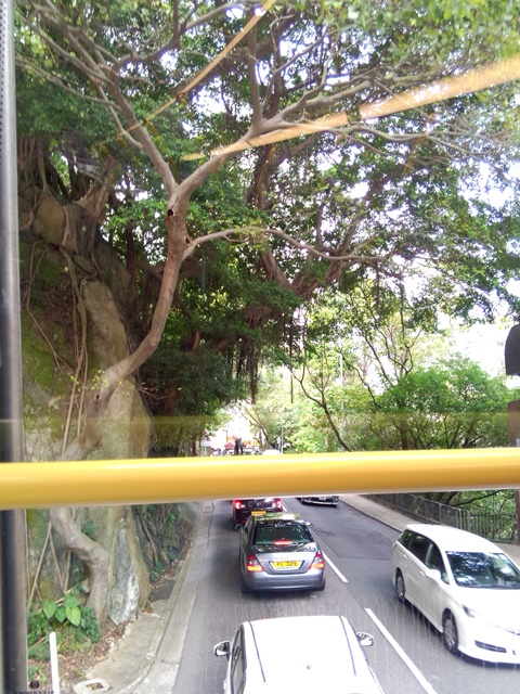 IMG 20161125 104611 - HK