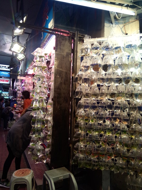 IMG 20161125 171839 - HK