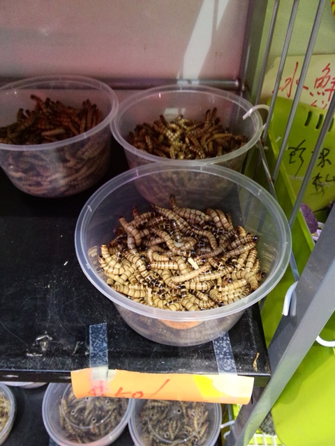 IMG 20161125 171910 - HK