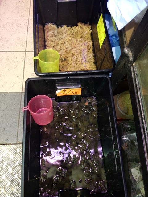 IMG 20161125 171936 - HK