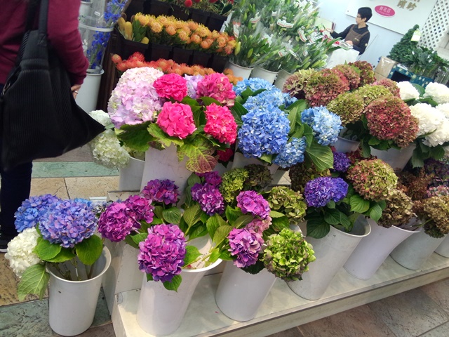 IMG 20161125 173921 - HK