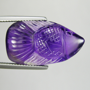 2868-FISH-B 2015-09-25