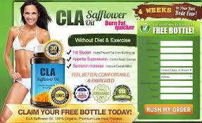 CLA Safflower Oil  human body and consequently Picture Box