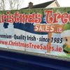 Christmas tree stand - Christmas Tree Sales