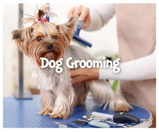Pet Checkers Dog Grooming Pet Checkers
