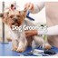 Pet Checkers Dog Grooming - Pet Checkers