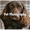 Dog Groomers Lincoln - Pet Checkers