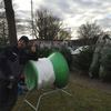 Christmas trees Dublin - Christmas Tree Sales