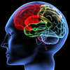 Brain - http://www.beaufitreviews