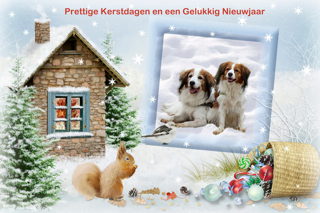 kerstkaart 2016 1 Picture Box