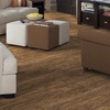 Vinyl Flooring - Discount Flooring Liquidato...