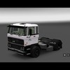 ets2 Daf daycab 4x2 De Boer... - prive skin ets2