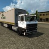 ets2 Daf daycab 4x2 + trail... - prive skin ets2