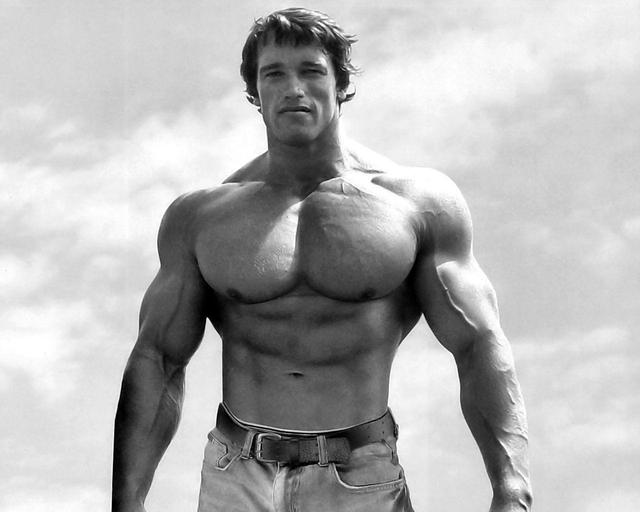 arnold-schwarzenegger-bodybuilding-photo-bodybuild http://alphagenixsweden.com/hyper-tone-excel/