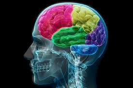 11 Neuro XR