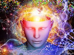 brain Picture Box