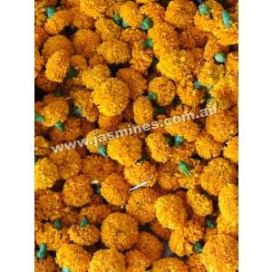 marigold flowers Picture Box