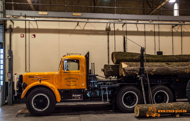 MegaTrucksFestival 2016-62 Mega Trucks Festival 2016 in den Brabanthallen von den Bosch powered by www.truck-pics.eu