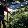 Mosquito Control - Go-Forth Pest & Lawn of Ral...
