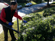 Mosquito Control Go-Forth Pest & Lawn of Raleigh