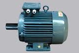 Electric Motor Manufactures in India elmechmo