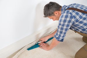 Carpet Flooring Edmonds WA Picture Box