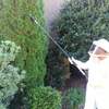 Termite Control Greensboro - Go-Forth Pest & Lawn of Gre...