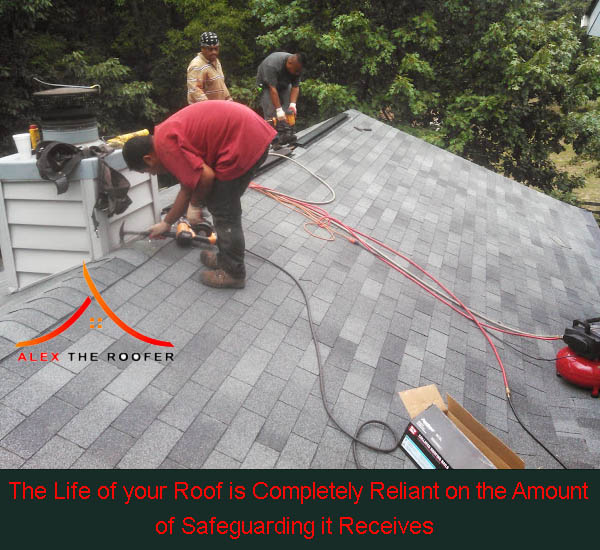 Alex The Roofer | Call Now:Â (954)-945-3429 Alex The Roofer | Call Now:Â (954)-945-3429  