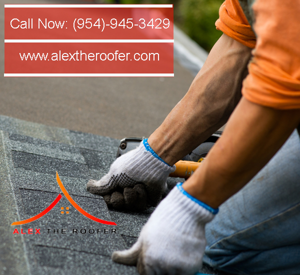 Alex The Roofer | Call Now:Â (954)-945-3429 Alex The Roofer | Call Now:Â (954)-945-3429  