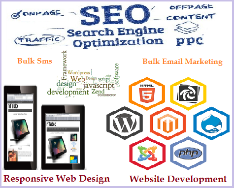 Web design development seo company in jaipur Picture Box